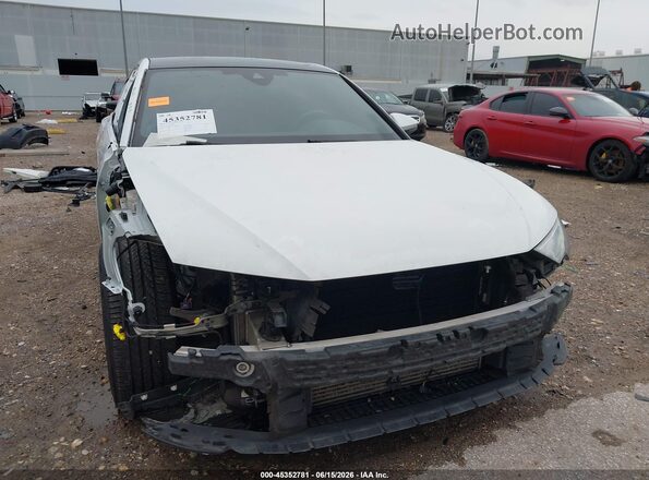 WAUD3BF26PN023290 2023 AUDI A6 White Вид задньої частини салону