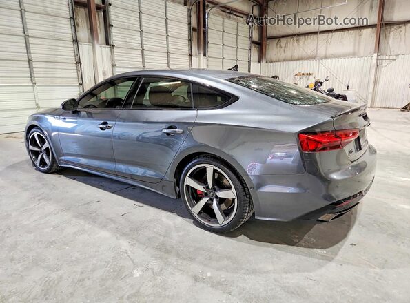 WAUEACF50PA040054 2023 AUDI A5 Gray Tył lewy
