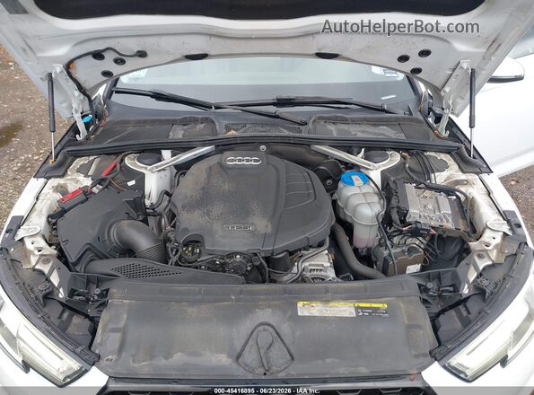 WAUENAF41KN002804 2019 AUDI A4 White Հետևի տեսք