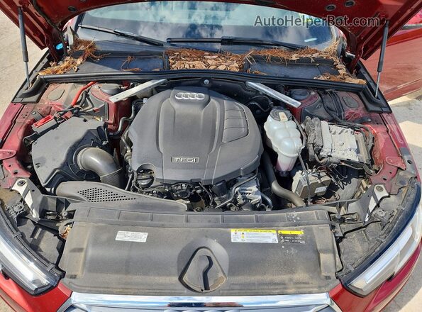 WAUENAF44KA081473 2019 AUDI A4 Red Вид задньої частини салону