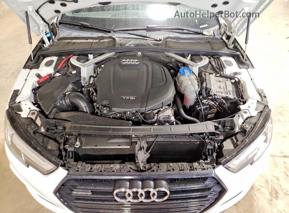 WAUENAF4XKA029247 2019 AUDI A4 White Սալոնի հետևի տեսք