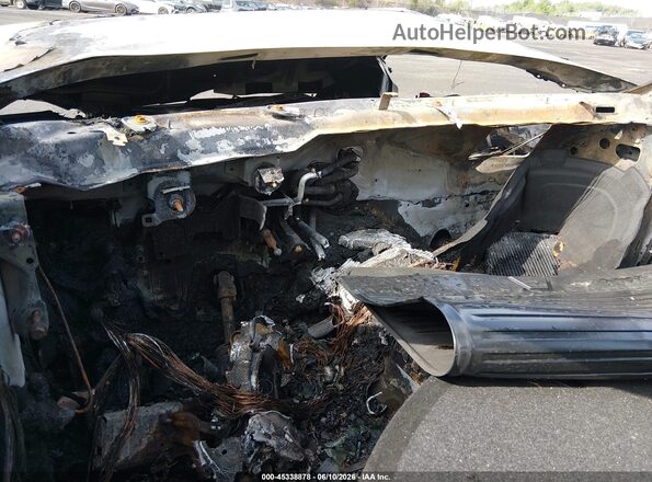 WAUENAF4XKA113892 2019 AUDI A4 White Հետևի նստատեղերի տեսք