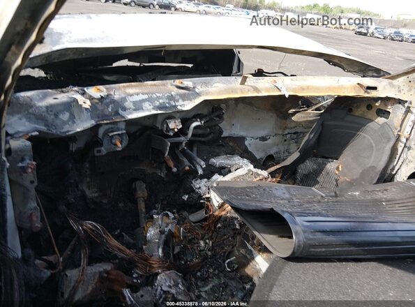 WAUENAF4XKA113892 2019 AUDI A4 White Սալոնի 360 աստիճան տեսք