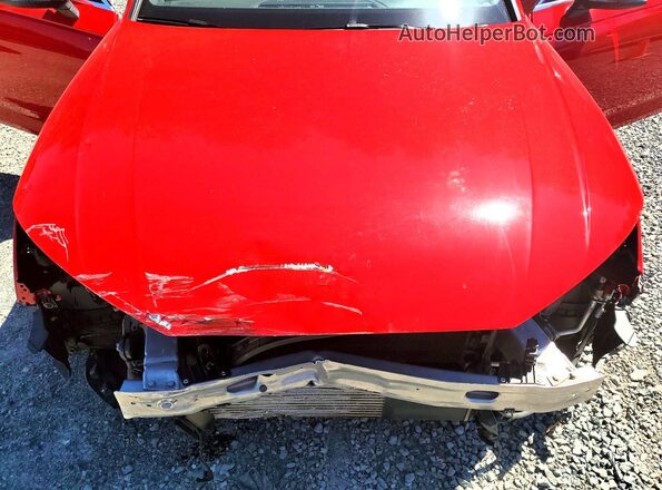 WAUENBF40HN013131 2017 AUDI A4 Red Սալոնի հետևի տեսք