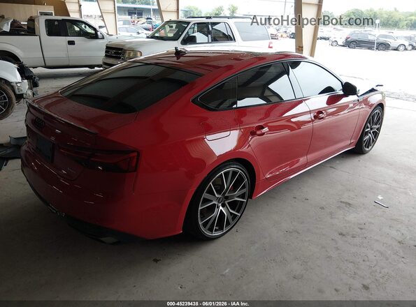 WAUFACF55SA013879 2025 AUDI OTHER Red უკანა მარჯვენა