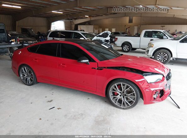 WAUFACF55SA013879 2025 AUDI OTHER Red უკანა სალონის ხედი