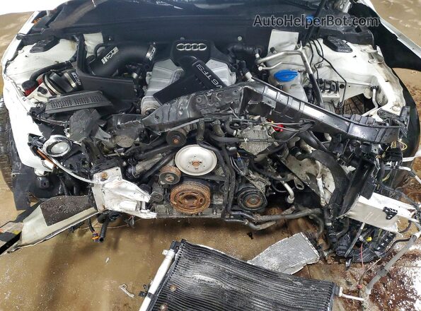 WAUKGAFL8GA006335 2016 AUDI S4 White Widok wnętrza z tyłu