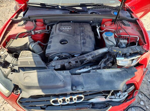 WAUM2AFR6GA027857 2016 AUDI A5 Red Вид задньої частини салону