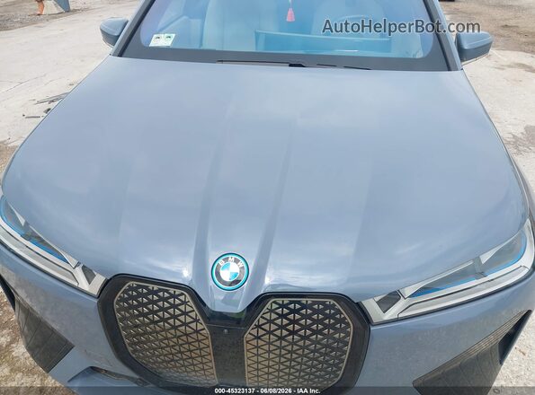 WB523CF00RCN58463 2024 BMW IX Gray Widok z przodu