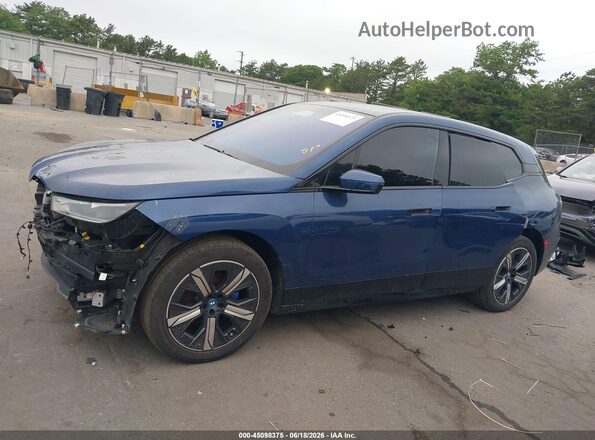 WB523CF09RCN84740 2024 BMW IX Синий 