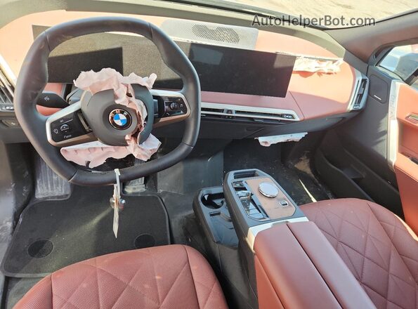 WB543CF04TCV95306 2026 BMW IX Синий 
