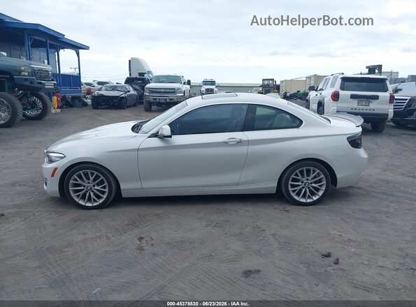 WBA1F9C53GV546056 2016 BMW 2 SERIES White 360 interior view