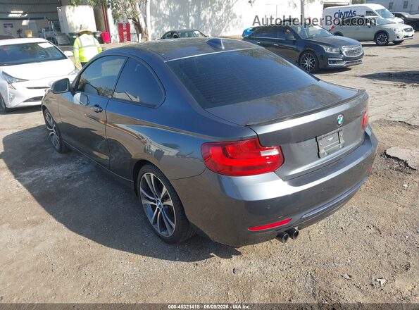 WBA1F9C53GV546610 2016 BMW 2 SERIES Gray Задня ліва чверть