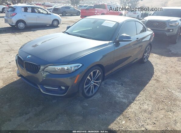 WBA1F9C53GV546610 2016 BMW 2 SERIES Gray Передня ліва чверть
