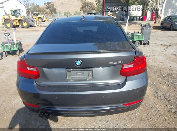 WBA1F9C53GV546610 2016 BMW 2 SERIES Gray 