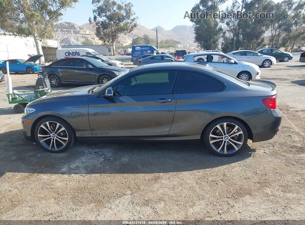 WBA1F9C53GV546610 2016 BMW 2 SERIES Gray Панорамний вид салону 360°