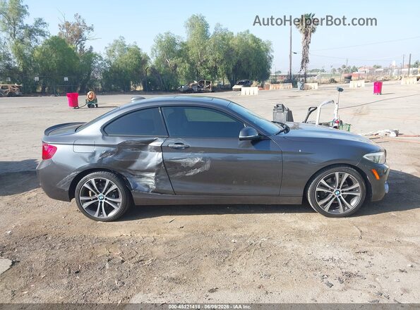 WBA1F9C53GV546610 2016 BMW 2 SERIES Gray Вид задньої частини салону