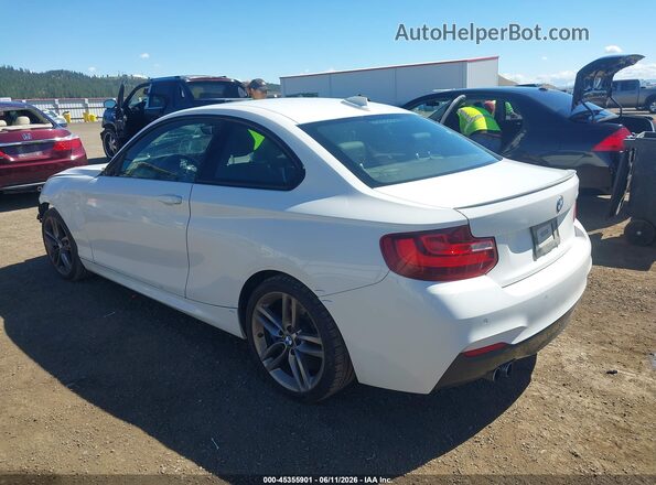 WBA1F9C58GV545260 2016 BMW 2 SERIES Белый Задняя левая четверть