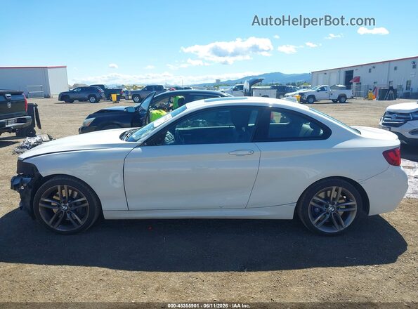 WBA1F9C58GV545260 2016 BMW 2 SERIES Белый 