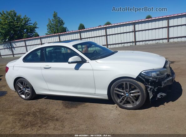WBA1F9C58GV545260 2016 BMW 2 SERIES Белый Панорамный вид салона 360°