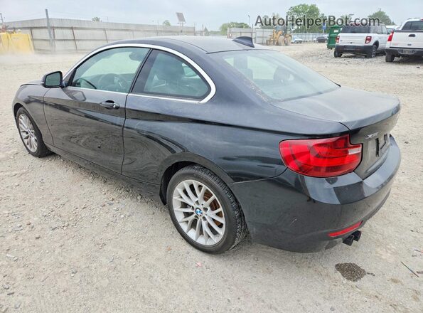 WBA1G9C51GV726651 2016 BMW 2 SERIES Черный Задняя левая четверть