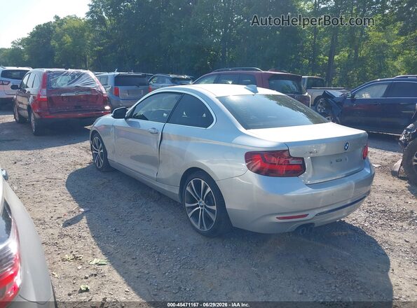 WBA1G9C54GV599734 2016 BMW 2 SERIES Silver უკანა მარცხენა