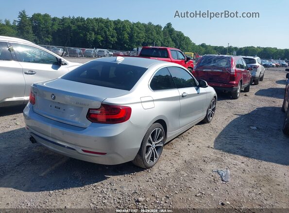 WBA1G9C54GV599734 2016 BMW 2 SERIES Silver უკანა მარჯვენა