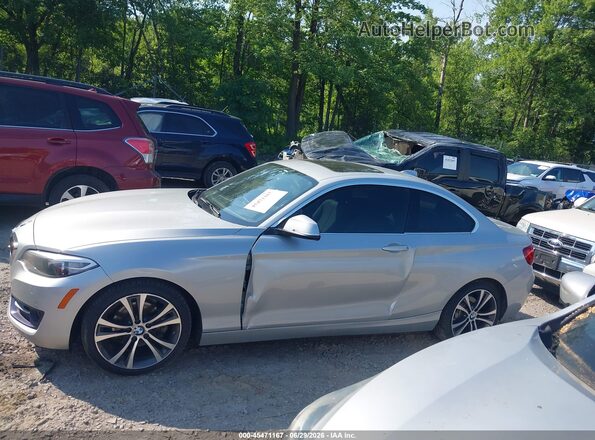 WBA1G9C54GV599734 2016 BMW 2 SERIES Silver სალონის 360-გრადუსიანი ხედი