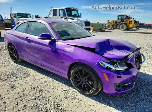 WBA1G9C59GV599888 2016 BMW OTHER Purple Առջևի աջ