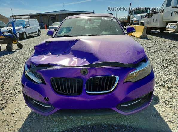 WBA1G9C59GV599888 2016 BMW OTHER Purple Դիմացի տեսք