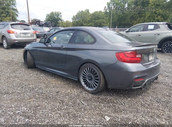 WBA1J7C51GV359983 2016 BMW M2 Серый Задняя левая четверть