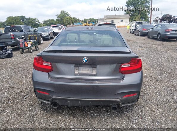 WBA1J7C51GV359983 2016 BMW M2 Серый 