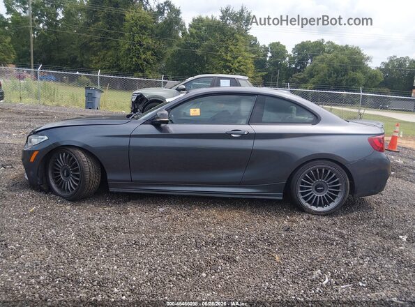 WBA1J7C51GV359983 2016 BMW M2 Серый 