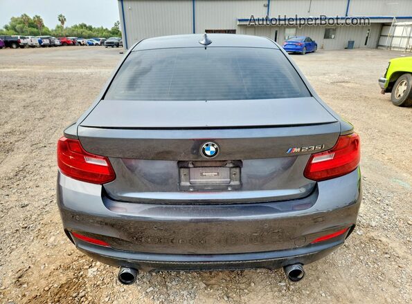 WBA1J7C53GV359807 2016 BMW M2 Gray Vista trasera