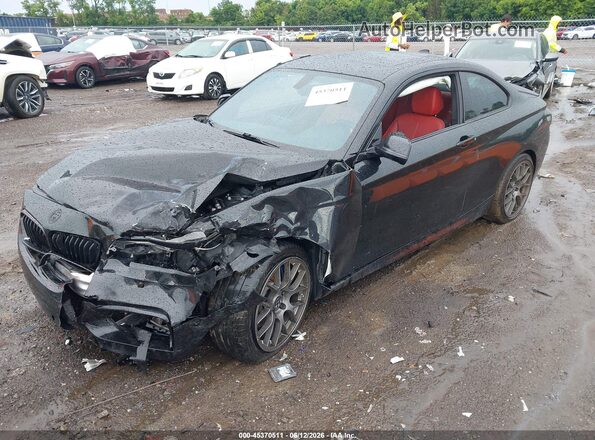 WBA1J7C54GV359413 2016 BMW M2 Black Передня ліва чверть