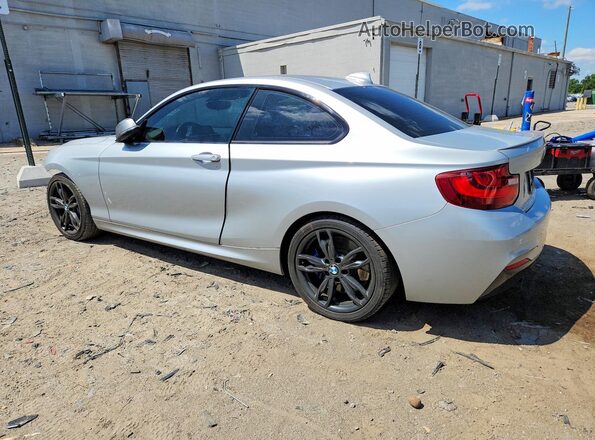WBA1J7C54GV360562 2016 BMW M2 Silver უკანა მარცხენა
