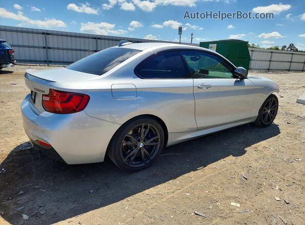WBA1J7C54GV360562 2016 BMW M2 Silver უკანა მარჯვენა