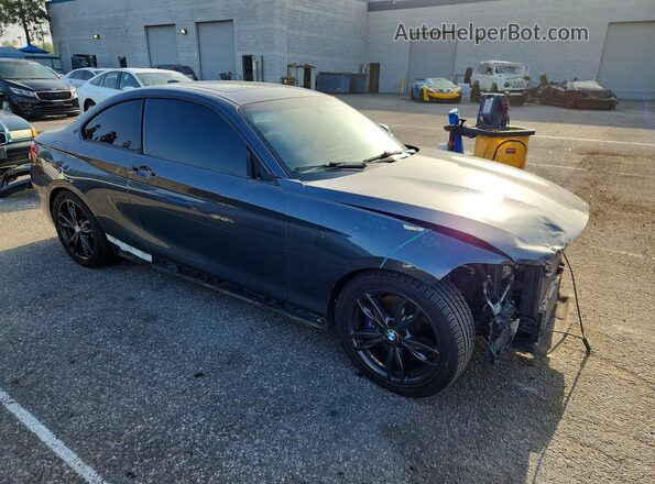 WBA1J9C53GV696439 2016 BMW M2 Charcoal 