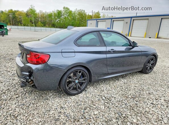 WBA1J9C58GV696369 2016 BMW M2 Gray Задня права чверть