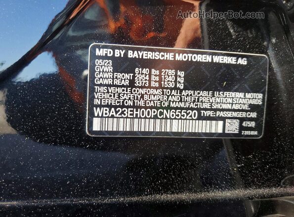 WBA23EH00PCN65520 2023 BMW 7 SERIES Black Vista del compartimento del motor