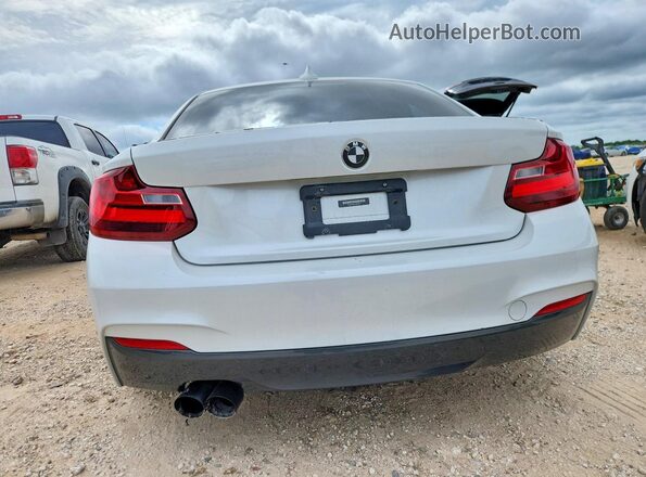 WBA2F9C31HV664871 2017 BMW 2 SERIES White უკანა ხედი
