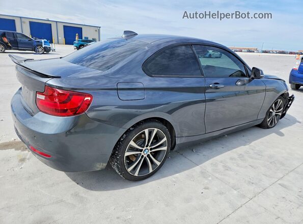 WBA2F9C39HV665038 2017 BMW 2 SERIES Gray უკანა მარჯვენა