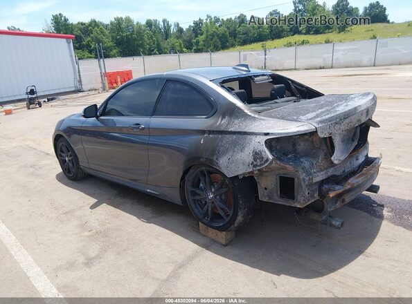 WBA2G1C55HV638774 2017 BMW M2 Серый Задняя левая четверть