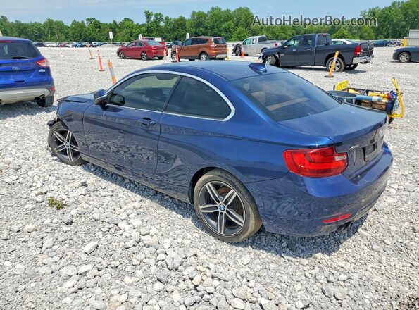 WBA2H9C31HV986887 2017 BMW 2 SERIES Blue Հետևի ձախ