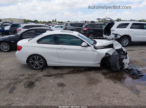 WBA2J1C53JVB98550 2018 BMW 2 SERIES White Սալոնի հետևի տեսք