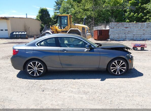 WBA2J3C04L7E57232 2020 BMW 2 SERIES Gray Vista interior trasera