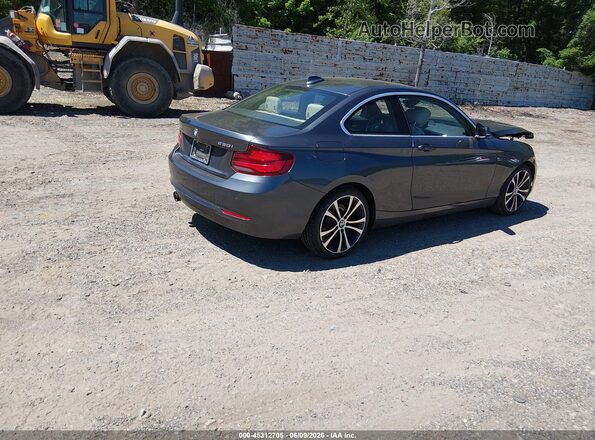 WBA2J3C04L7E57232 2020 BMW 2 SERIES Gray Trasero derecho