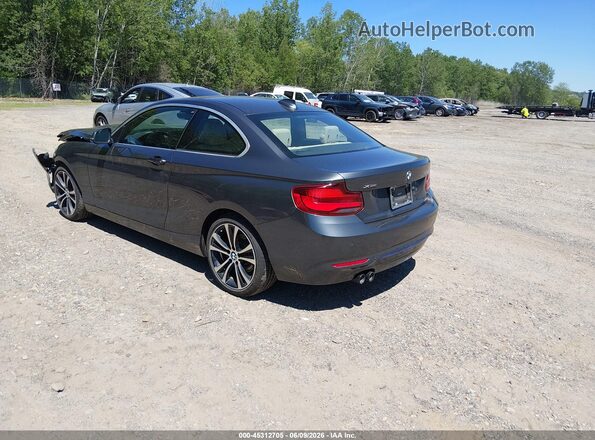 WBA2J3C04L7E57232 2020 BMW 2 SERIES Gray Trasero izquierdo
