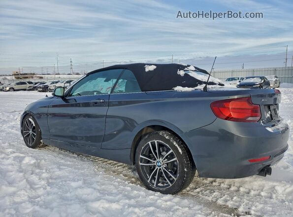 WBA2K1C01L7G10800 2020 BMW 2 SERIES Gray Tył lewy