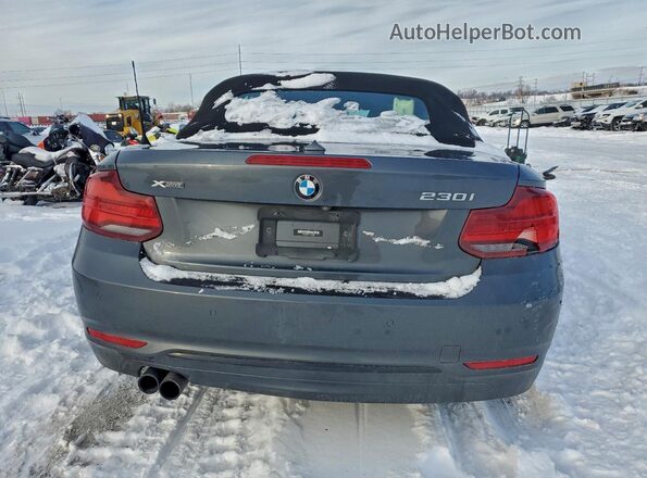 WBA2K1C01L7G10800 2020 BMW 2 SERIES Gray Widok z tyłu
